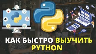 Как быстро выучить Python программирование