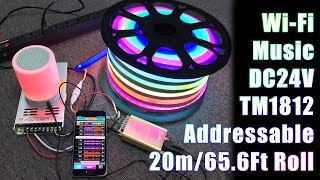 DC24V 65.6Ft/20m Addressable RGB LED Neon Flex Lights Work with VSS WiFi Music Controller