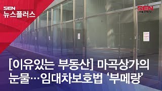 [이유있는 부동산] 마곡상가의 눈물…임대차보호법 ‘부메랑’