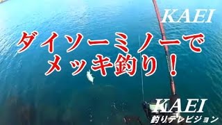 １００均ダイソールアーでメッキ釣り！