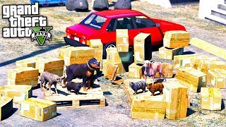 ЖИЗНЬ КОТА В GTA 5 - ПОСТРОИЛИ БАЗУ ИЗ КОРОБОК ДЛЯ БЕЗДОМНЫХ ЖИВОТНЫХ ⚡ГАРВИН