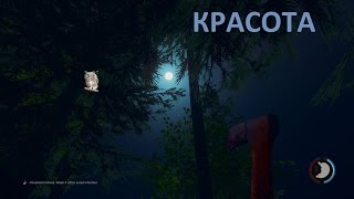 The Forest ► Выживание ► Часть № 1 ► ПЕЩЕРА