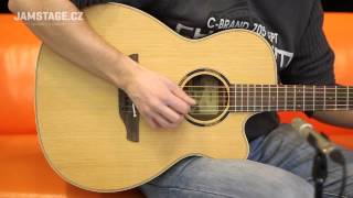 Takamine ETN 70C