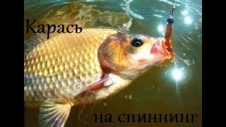 Ловля карася спиннингом. Карась на мормышинг целенаправленно (наноджиг).