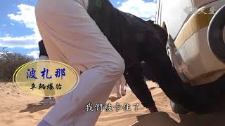 志工早會：萬里敬師 寸步佛心