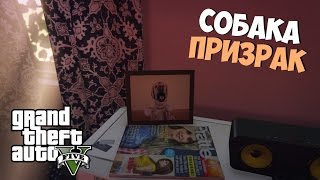 Что случилось с собакой семьи Майкла ? ★ Собака призрак в GTA 5