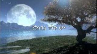 השניים הם אחד - עמיחי זלינקובסקי