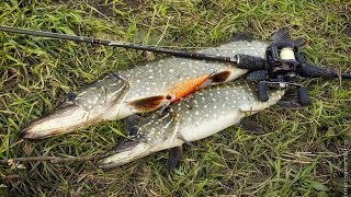 Лучшие воблеры на щуку: Evergreen Faith Custom Jerkbait 115