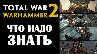 ТОП 10 Самое важное о Total War Warhammer 2