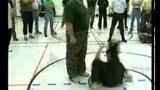 Правда о "СИСТЕМЕ" Рябко