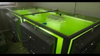 2 самых питательных продукта, о которых важно знать каждому! Любые фрукты, мясо уступают