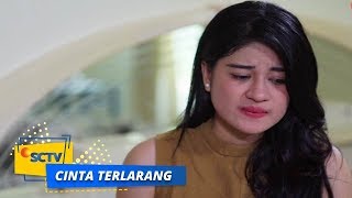 Cinta Terlarang - Kesepian Ini Membuatku Merebut Suamimu