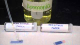 Testing Acids & Bases on Litmus Paper