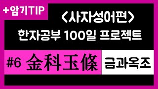 금과옥조/사자성어/한자강의/공무원한자/한자급수/한자공부100일프로젝트