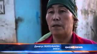 Аралдагы емши бала