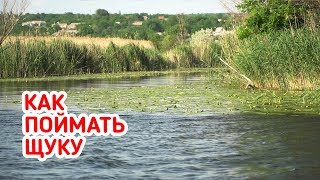 Рыбалка на щуку летом. Лучшая снасть на щуку!