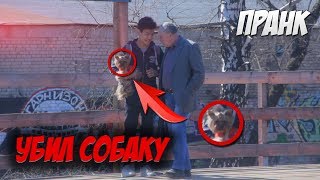 Социальный эксперимент: Убийство собаки / killing a dog Prank