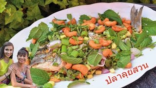 PLA LUI SUAN Gebratener Fisch mit Thai Kräuter in Tamarindensauce