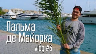 Пальма де Майорка, мандарины на улице и каучсерфинг в Испании || Columbus Vlog #3