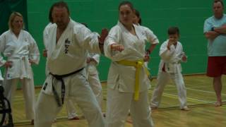 Disability Karate Federation