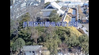 京都府長岡京市勝竜寺城