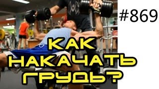 Как накачать грудь - Упражнения на грудь со штангой. Тренировка груди с гантелями