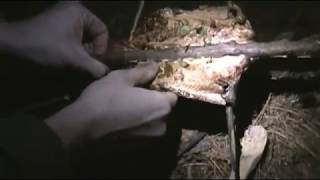 Primitive Bushcraft - Cooking Trout Fish on a Stick | Self Reliance