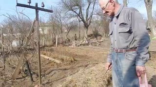 Посадка лука в теплые грядки Розума