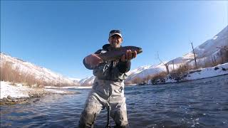 Winter Fly Fishing in Idaho
