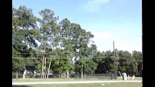 T-REX 450 ON FIRE MUST SEE VIDEO T-REX VS BLADE 400