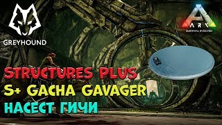? S+ Gacha Gavager - Насест гачи