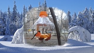 Как сделать кормушку для птиц. Кормушка для птиц из пластиковой бутылки. Кормушка для птиц.