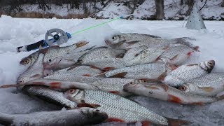 Просверлил новую лунку и понеслось! Зимняя рыбалка 2020
