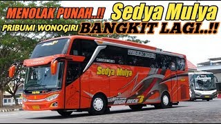 BUS BARU LAGI...!!! PRIBUMI WONOGIRI MENOLAK PUNAH BUS SEDYA MULYA || JETBUS3 SHD ADIPUTRO