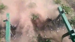 Вторая прополка картошки «ёжиками».