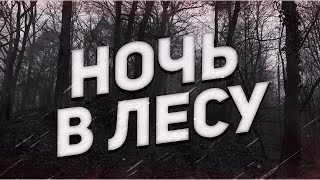 Страшные истории на ночь-Ночь в лесу