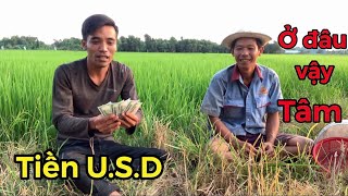 Lãng Tử chân thành cảm ơn chị ( Bichvan Nguyen )❤️