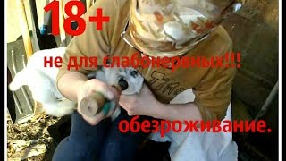 обезроживание ...