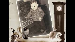 видео слайд шоу поздравление на 35 лет