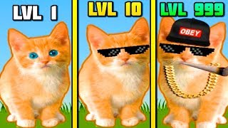 ЭВОЛЮЦИЯ ТУПОСТИ ЧТОБЫ ОБЫЧНОГО КОТА СДЕЛАТЬ КРУТОГО КОТА В ИГРЕ CATCLICKER MLG!