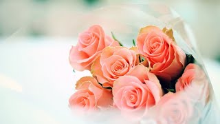 Thánh Lễ Mùng Hai Tết Canh Tý dành cho những người không thể đến nhà thờ