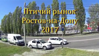Птичий Рынок Ростов-на-Дону 2017. Выпуск №228