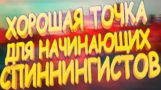 ●Русская Рыбалка 4●ХОРОШАЯ ТОЧКА●ДЛЯ НАЧИНАЮЩИХ СПИННИНГИСТОВ