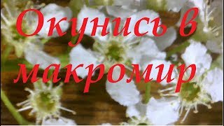 USB микроскоп своими руками.  Часть 2