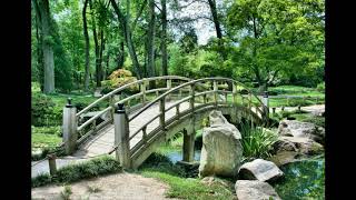 432 Hz - Best Classical Music - Erik Satie - Gymnopédie No. 1