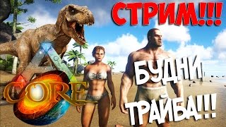 СТРИМ - ARK: Survival Evolved БУДНИ ТРАЙБА!!!