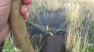 100% рыбалка пауком на черных болотных монстров!