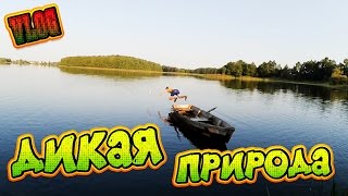 ДИКАЯ ПРИРОДА