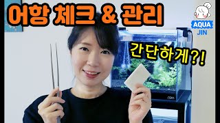 (ENG) 평소에 하는 어항 관리  ! 조금씩 간단하게 어항 청소 해주어요! Daily fish tank clean up for maintenance