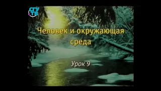Урок 9. Жители антропогенных экосистем. Изменения в экосистемах